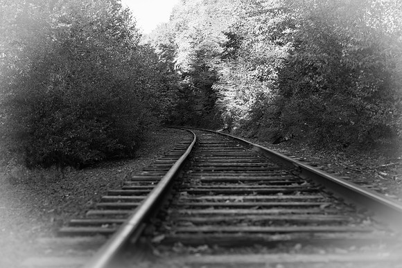 The Journey_5072