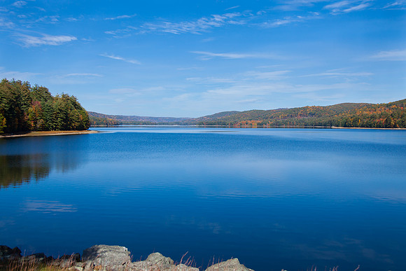 Connecticut Foliage_3189