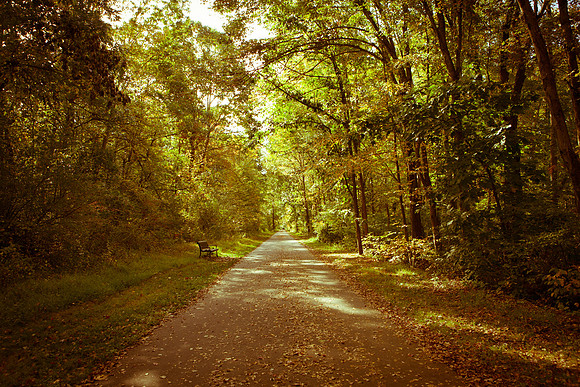Farmington Trail _7638