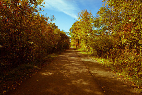 Farmington Trail _7693