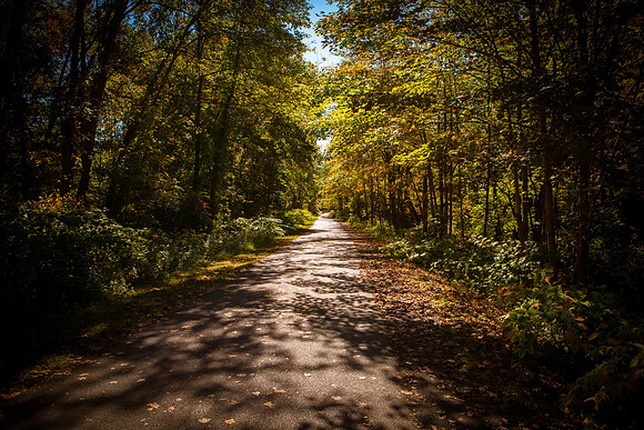 Farmington Trail _7724