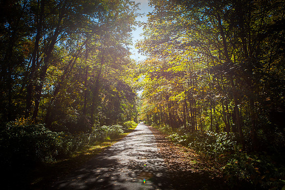 Farmington Trail _7726