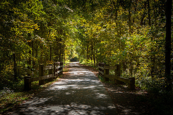 Farmington Trail _7733