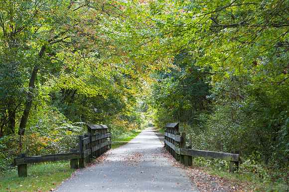 Farmington Trail _7791