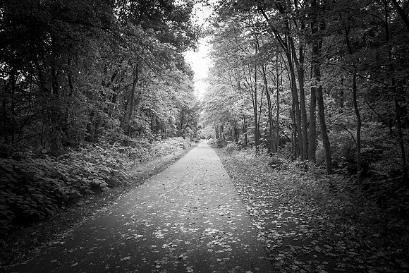 Farmington Trail _7796