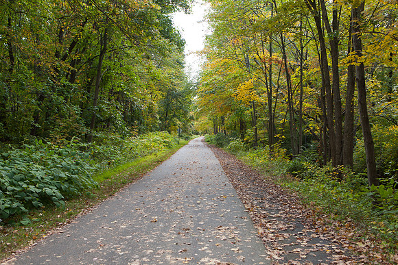 Farmington Trail _7797