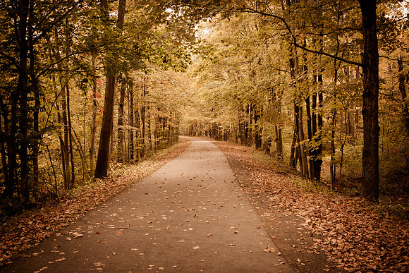 Farmington Trail _7825