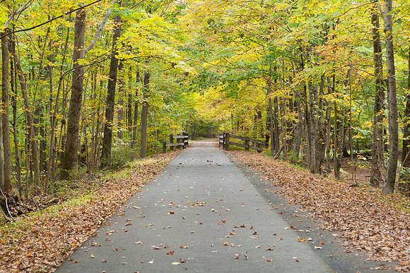 Farmington Trail _7827