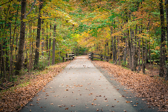 Farmington Trail _7828