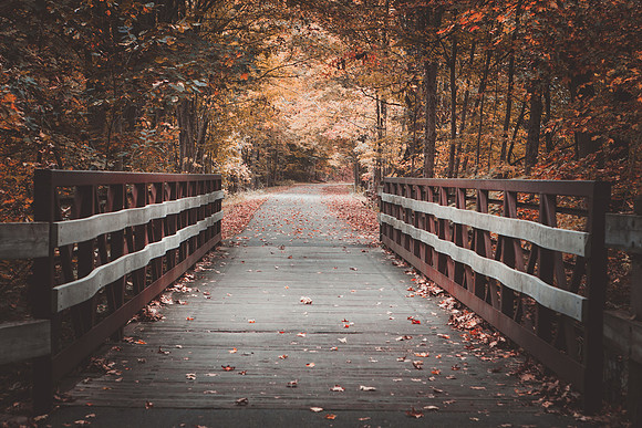 Farmington Trail _7830