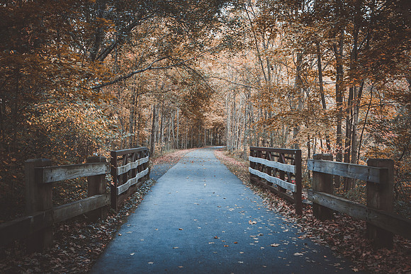 Farmington Trail _7850