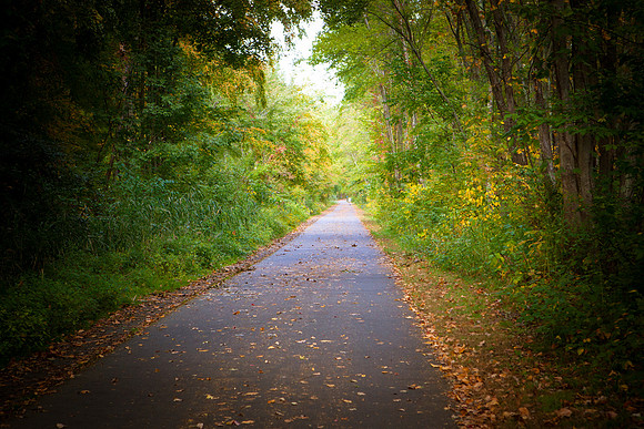 Farmington Trail _7886