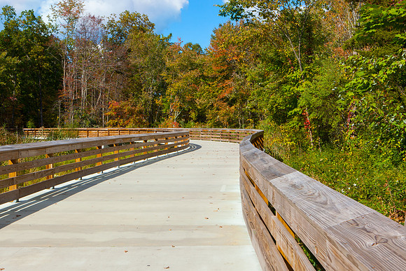 Farmington Trail _7895