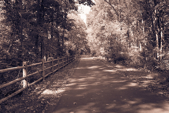 Farmington Trail _7938