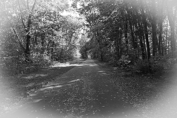 Farmington Trail _7940