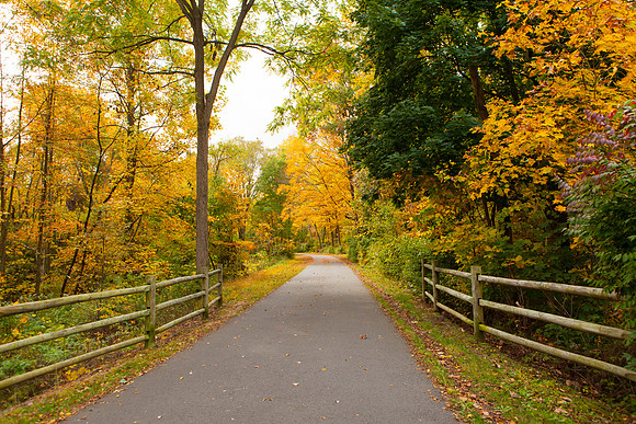 Farmington Trail _8006