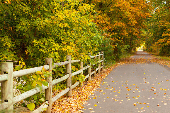 Farmington Trail _8002