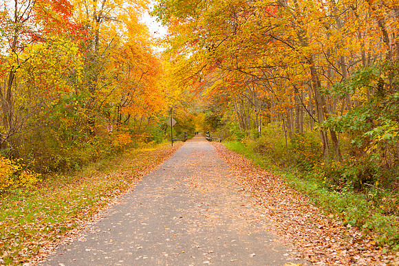 Farmington Trail _8014