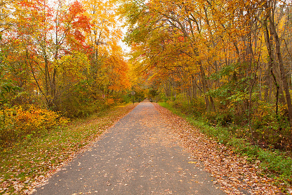 Farmington Trail _8015