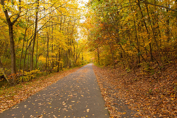 Farmington Trail _8016