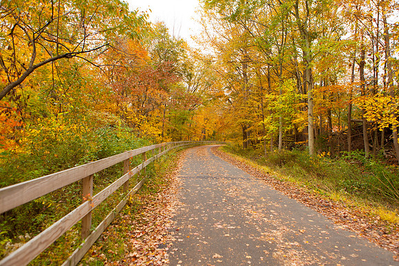 Farmington Trail _8023