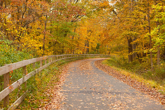 Farmington Trail _8024