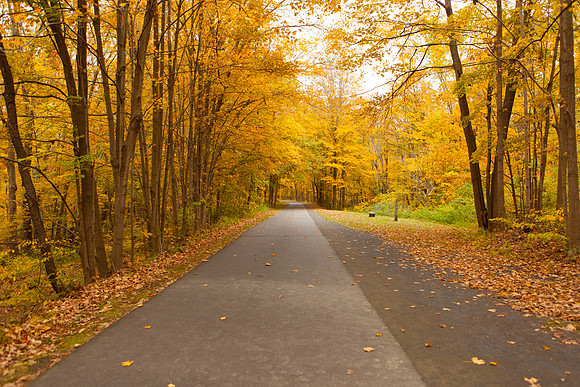 Farmington Trail _8033
