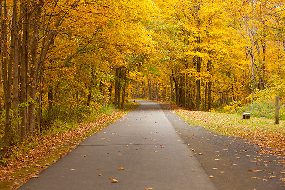 Farmington Trail _8034