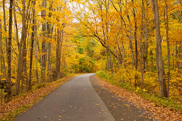 Farmington Trail _8035