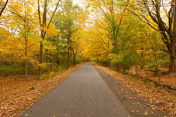 Farmington Trail _8037