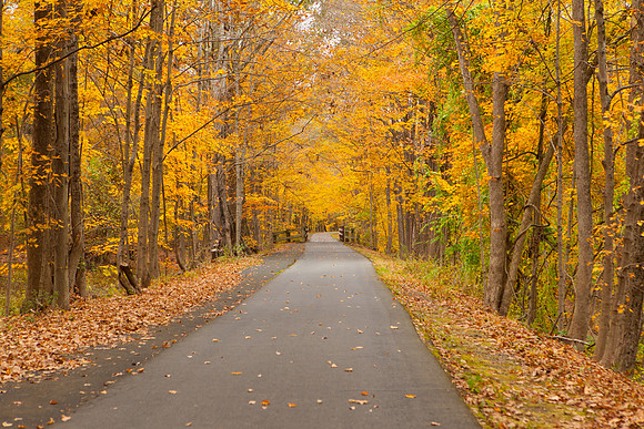 Farmington Trail _8046