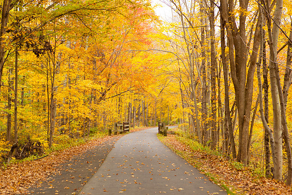 Farmington Trail _8050
