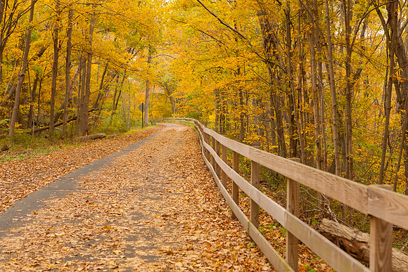 Farmington Trail _8053