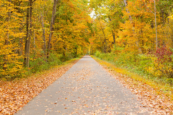 Farmington Trail _8061