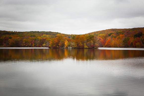 2020 _Foliage_8096