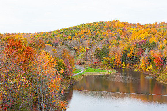 2020 _Foliage_8199