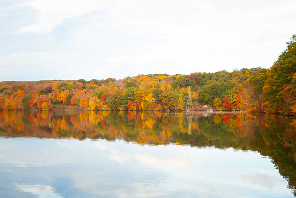 2020 _Foliage_8220