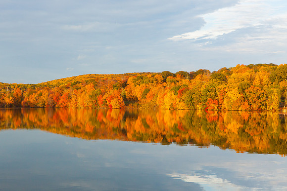 2020 _Foliage_8226