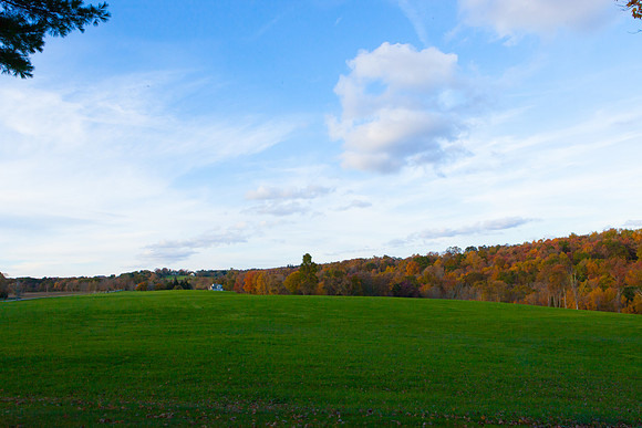 2020 _Foliage_7974