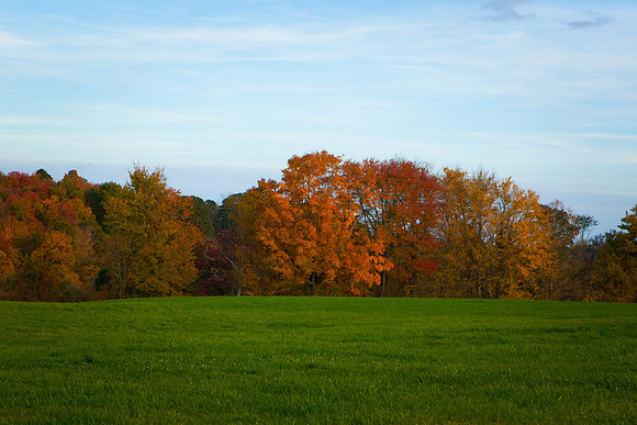 2020 _Foliage_7996