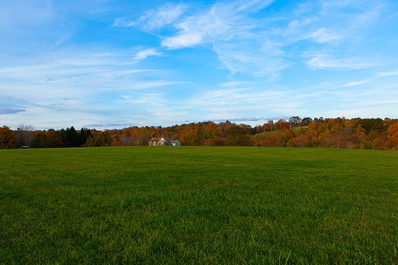 2020 _Foliage_7998